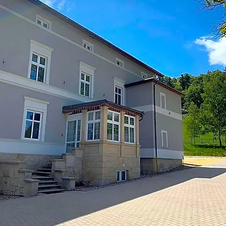 Wiktoria Hotel Domaszkow
